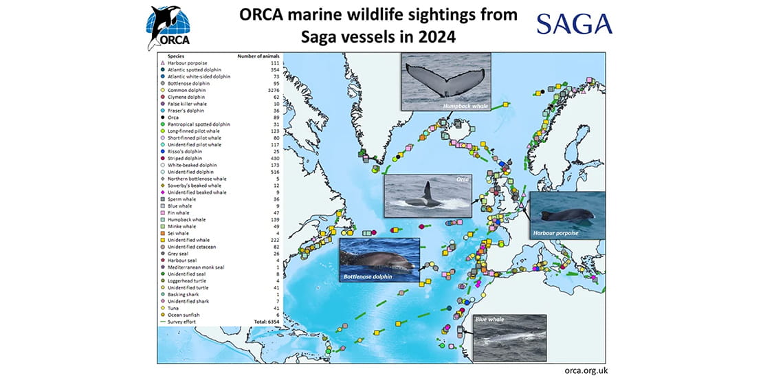 ORCA 2024 sightings map 